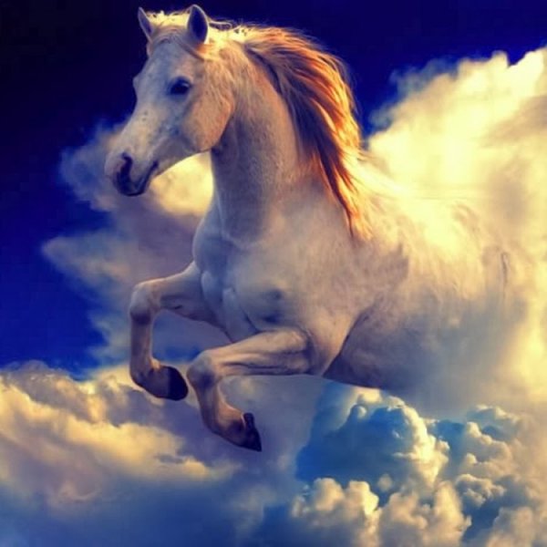 Белая лошадь в облаках