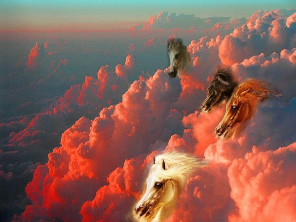 Лошади в раю