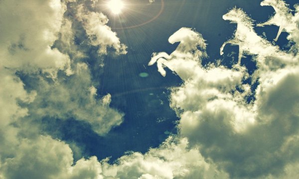 Лошадь скачет галопом