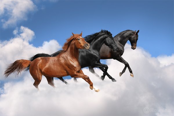 Единорог в небе