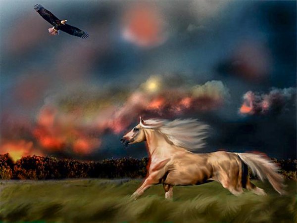 Лунный конь