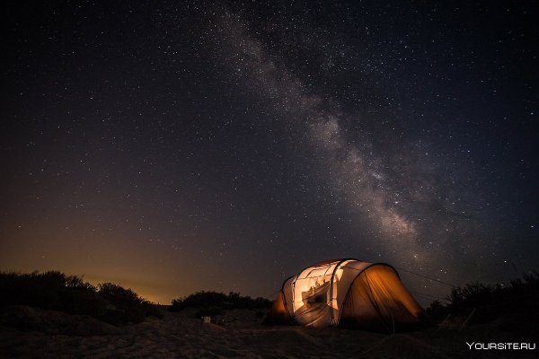 Звездное небо в лесу