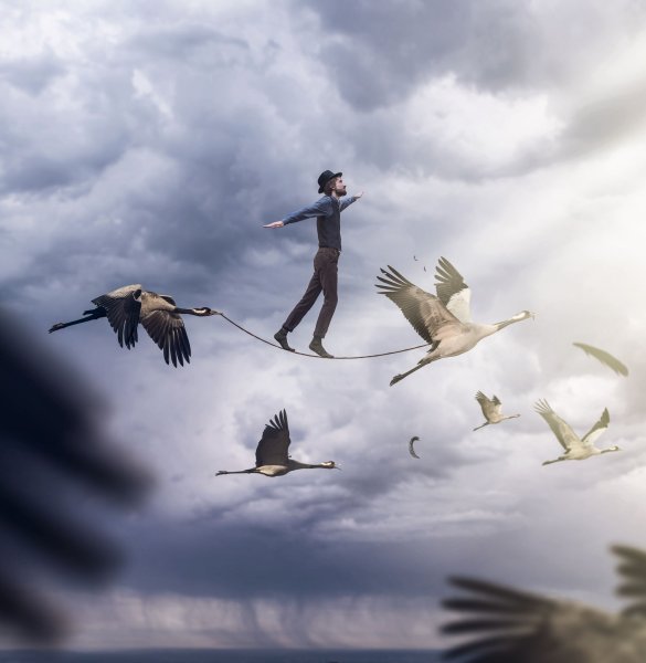 Картина птицы улетают