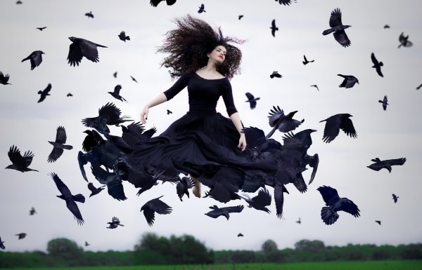 Птицы в облаках