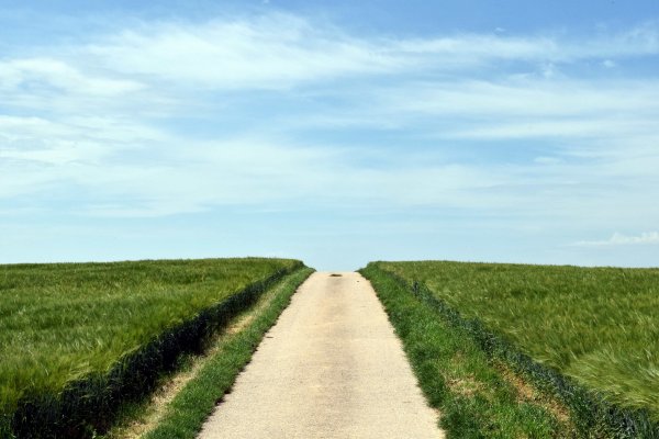 Дорога уходящая в Горизонт