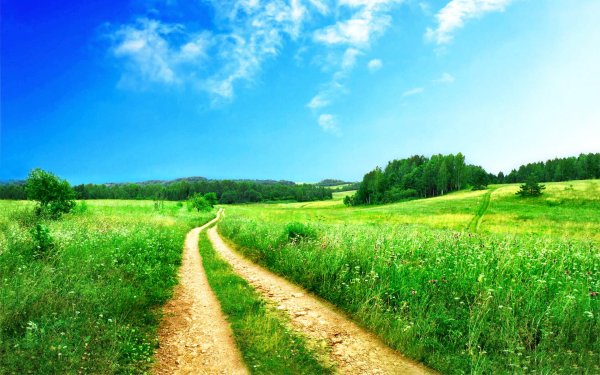 Длинная лестница