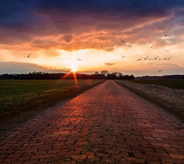 Гомель парк