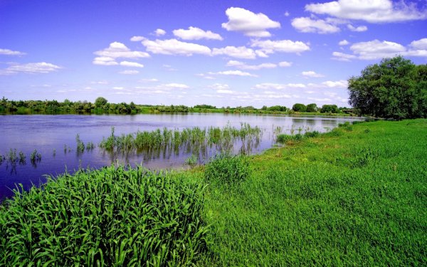 Красивая природа река