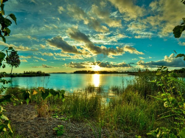 Красивая природа