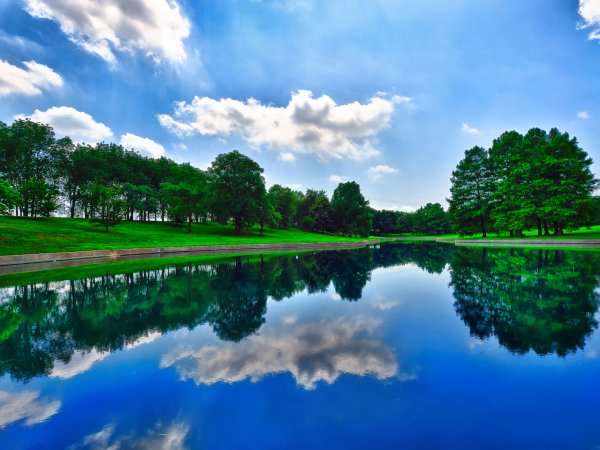 Солнце над озером