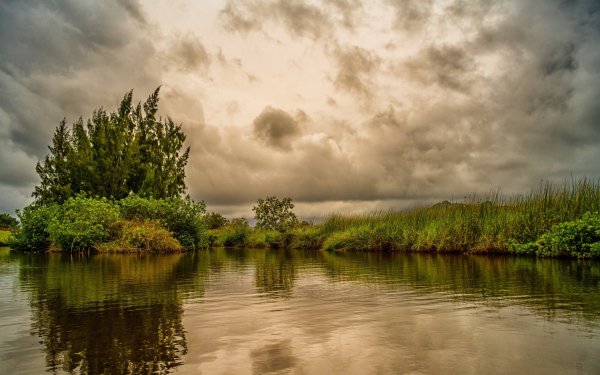 Берег реки сбоку