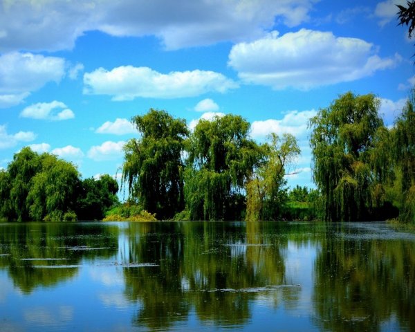 Озеро Габозеро Кондопожский район