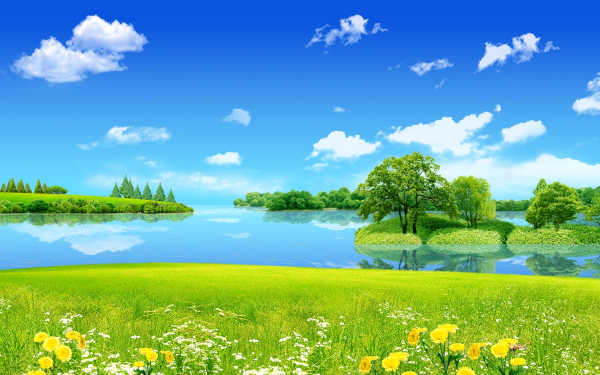 Река лес облака