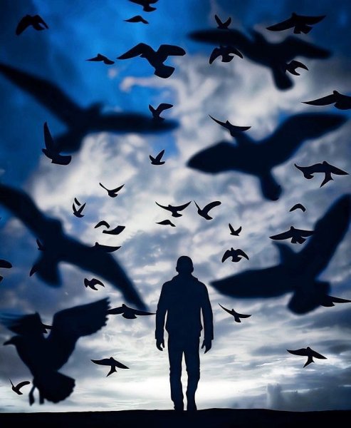 Птицы в небе и человек