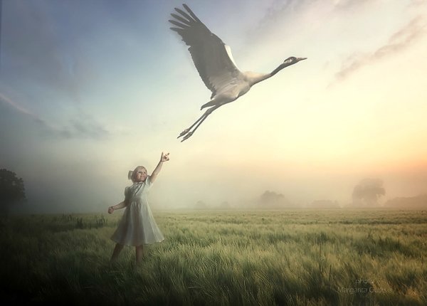 Журавль в небе