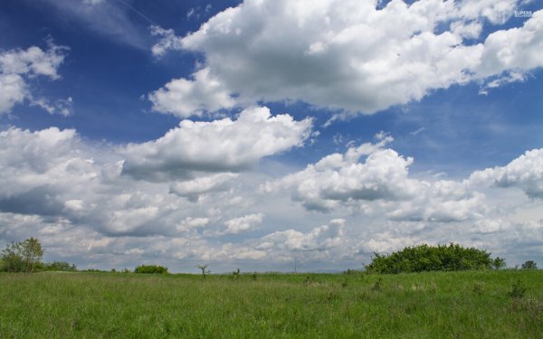 Небо для визуализации