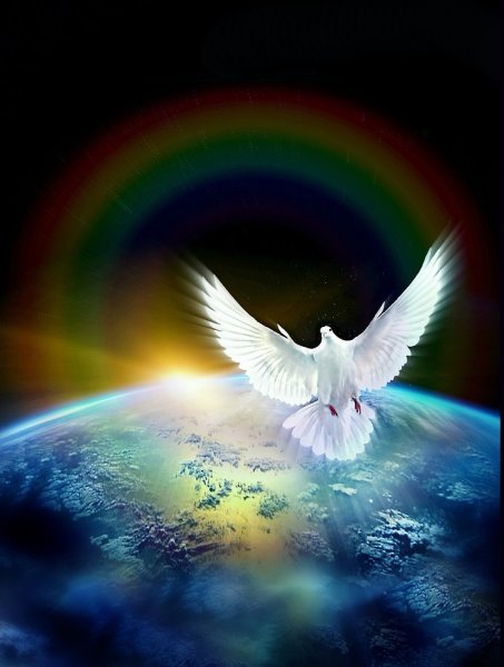 Голубь мира Радуга