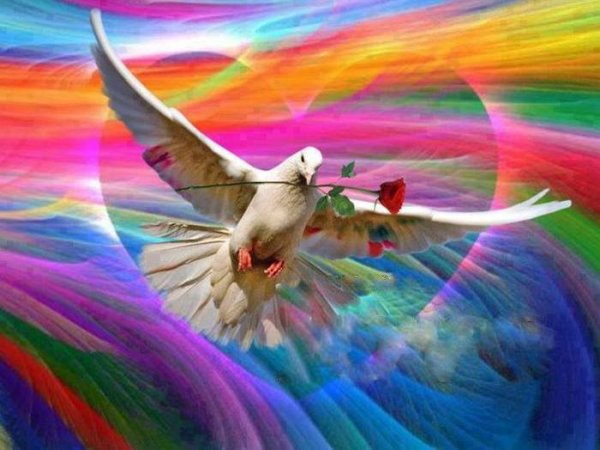 Голубь и Радуга