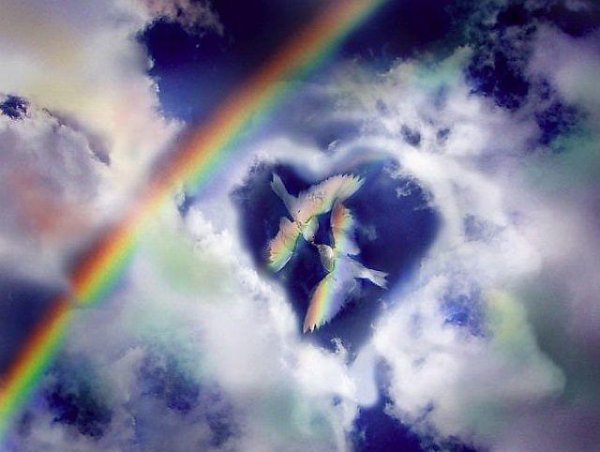 Белый голубь символ Святого духа