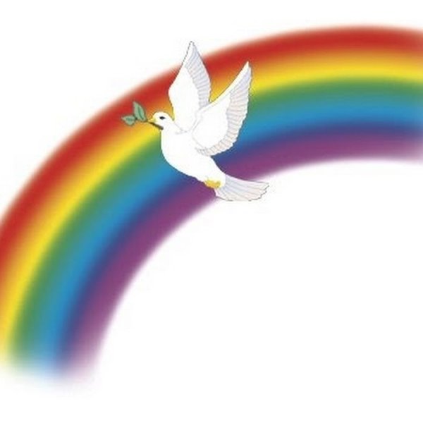 Птицы на фоне радуги