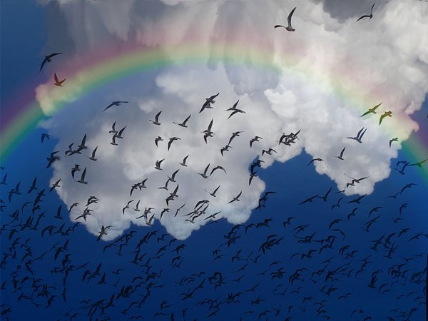 Небо с радугой и облаками