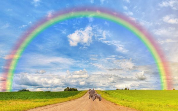 Голубь в облаках