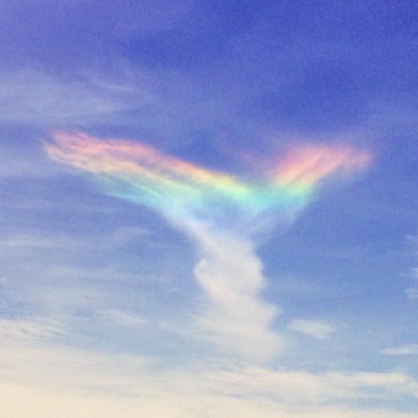 Лестница в небо с голубями