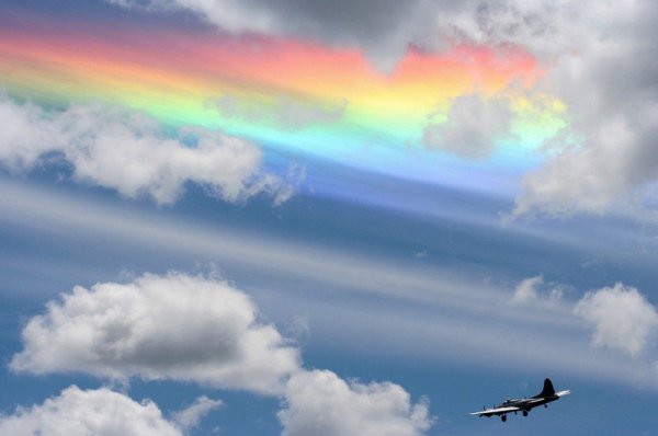 Ангел с голубем