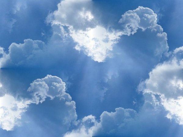 Светлая память облака