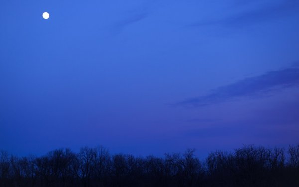 Чистое ночное небо