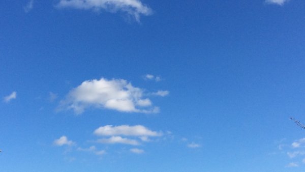 Небо с облаками