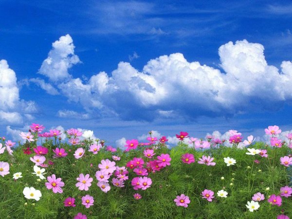 Летние облака