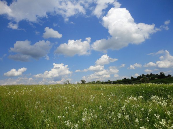 Облака летом