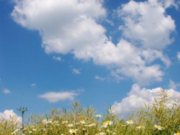 Летнее небо