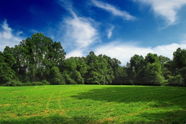 Солнце пейзаж