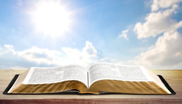 Книги раскрытые на фоне неба