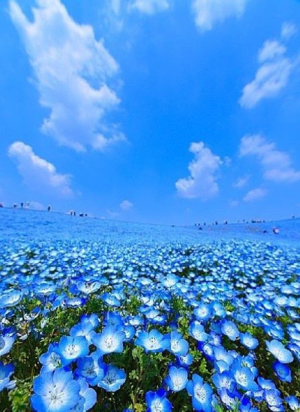 Голубое небо