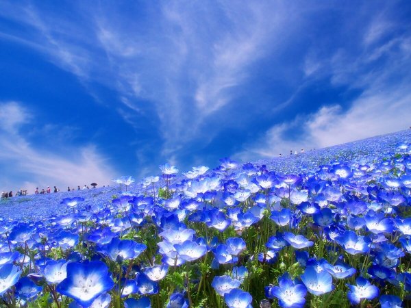 Красивое голубое море