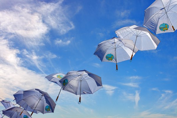 Солнце под зонтом