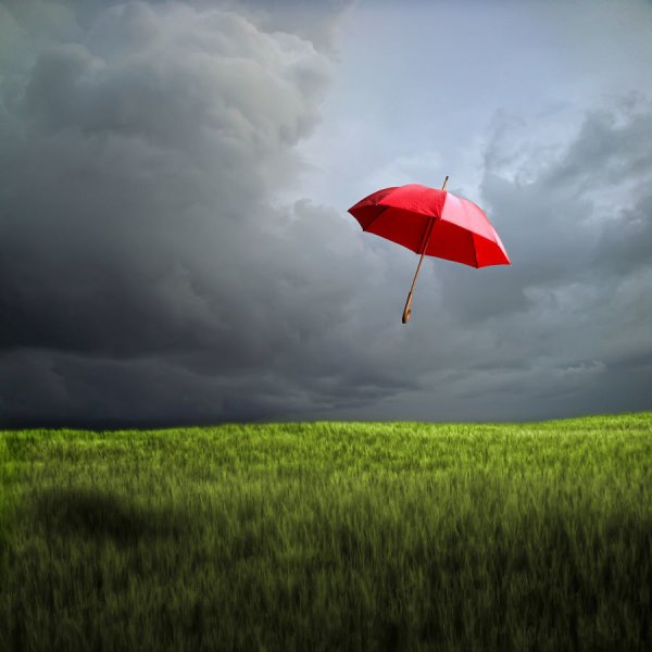 Зонтик улетел