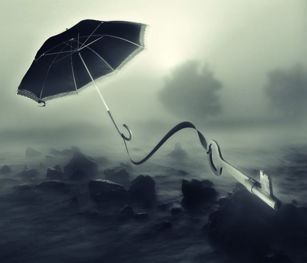 Улетающий зонт