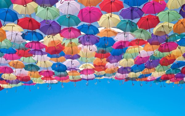 Много зонтиков