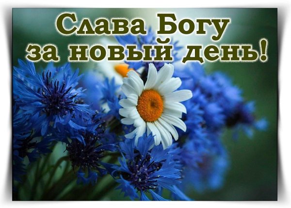 Доброе утро благословенного дня