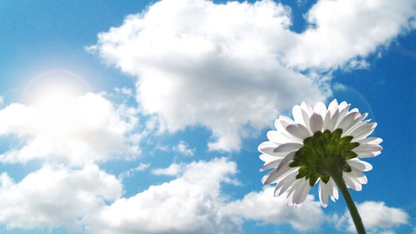 Стихи с добрым утром