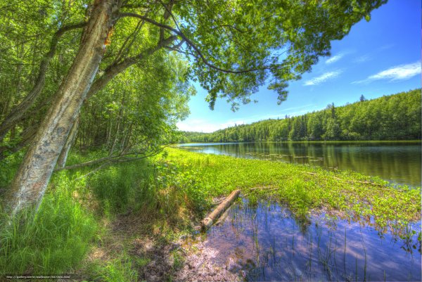 Небо лес река