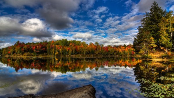 Осень река лес озеро