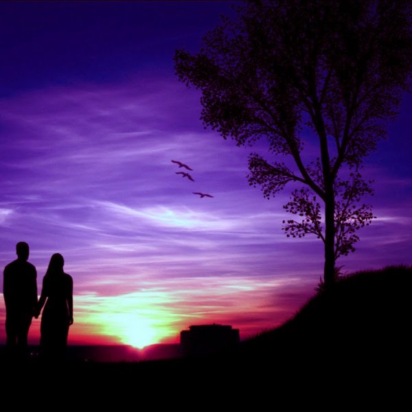 Влюбленные под звездным небом