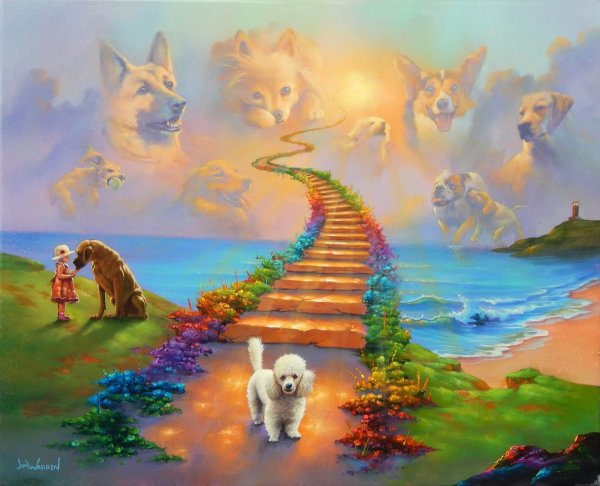 Кошка тучка