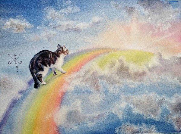 Небесный кот