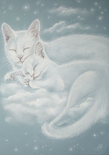 Животные на радуге